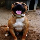 여주-0482 이미지