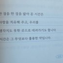 [독서후기]100세 할머니 약국 ㅣ 히루마에이코- 마음이 지칠 때 읽기 좋은 따뜻한 책