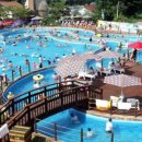 도그베이 이미지