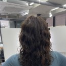 낙원미용실 | 선릉미용실 궁서채 히피펌 후기