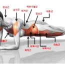 리바디재활운동센터