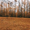 [북부] 블로그&동영상 이미지