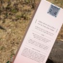 에이씨피원
