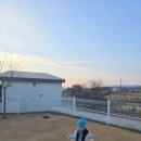 오늘도 너와 | 경북 경주│애견독채펜션 오늘도 너와 내돈내산 후기 (개별운동장, 기준2마리, 경주감성숙소)