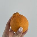 새콤달콤 | 제주도 한라봉 구매후기, 귤스데이 새콤달콤 추천후기