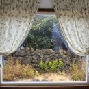 하도꿀잠 이미지