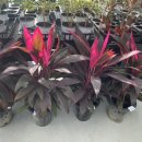 상중농장 이미지