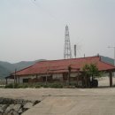 선창가 Daum카페