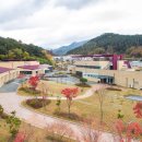 자연드림 사우나 이미지