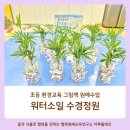 (2024년 겨울방학특강)그림책 속 환경이야기 | 초등 환경교육 프로그램, 그림책과 수경정원으로 실천까지 연결한 출강 다녀왔어요.