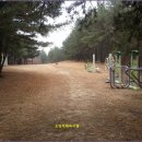 다인1 태양광발전소 이미지