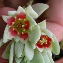 행복한 하루 이미지