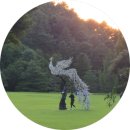 대한민국상이군경회 청주사업소 | 청주 가을 단풍 명소 추천! 대통령 별장 청남대 예약 없이 관람