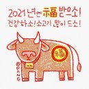 킹콩샤워 이미지