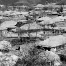 전통한옥 초가집 이미지