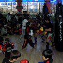 다이어트복싱킥복싱MMA우슈 이미지