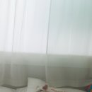 세남매 이미지