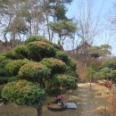 신기수목장 이미지