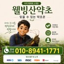 민간약초 생활한방 | 개다래 충영 효능 및 복용법 총정리/통풍에 대표적인 약초