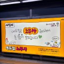 [5월] 대학생, 그리고 사회초년생 경계에서
