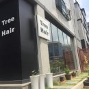 트리헤어(Tree Hair)