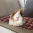 현진환경개발 | ㅣ동그라미처럼 살기ㅣ