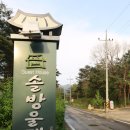 솔방울 펜션 이미지