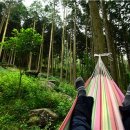 바람소리 이미지