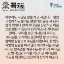 콩깍지