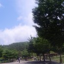 상리공원 이미지