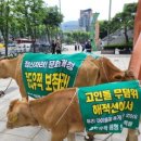 고인돌 사거리 이미지