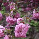 중동 이마트 공영주차장 앞 이미지