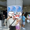 피아니스트음악교습소 이미지