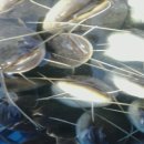 청천경로당 이미지