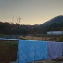 논산계룡축협 자연순환농업센터 | 12월 첫 월요일 동분서주하며 보내다.