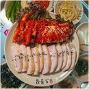 낙지랑굴