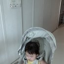 더엘빈 | 올보르 엘빈 트라이크 구매후기