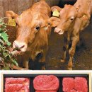 김미옥 농장 이미지