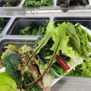 믿음농가 | 임당역 맛집 윤훈식 농가쌈밥, 경산 현지인 추천 무한리필 한식집