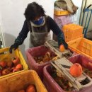 희명농장 이미지