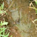 꿈바위유치원 | [2026] 한식날 청개구리