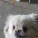 2함대길 피플워치