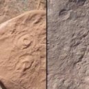 오바이오 이미지