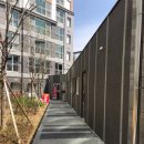 진아리채세탁 이미지