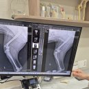 정창수외과동물병원 | 최고의 의사 {정창수선생님} 동물외과 병원 (일산)