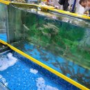 하림수산 이미지