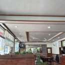 제주본토박이 이미지