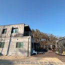 라파미C 이미지