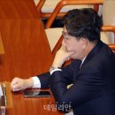 데일리안 이미지