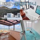 태안풀빌라바니 이미지